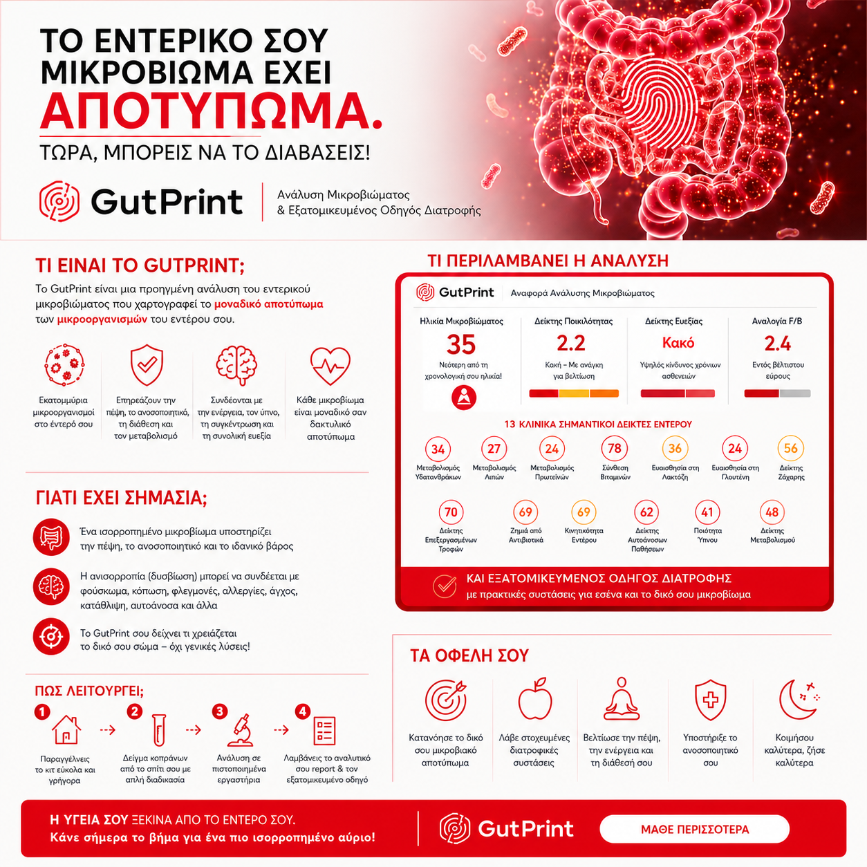 GutPrint infographic — Τι περιλαμβάνει η ανάλυση